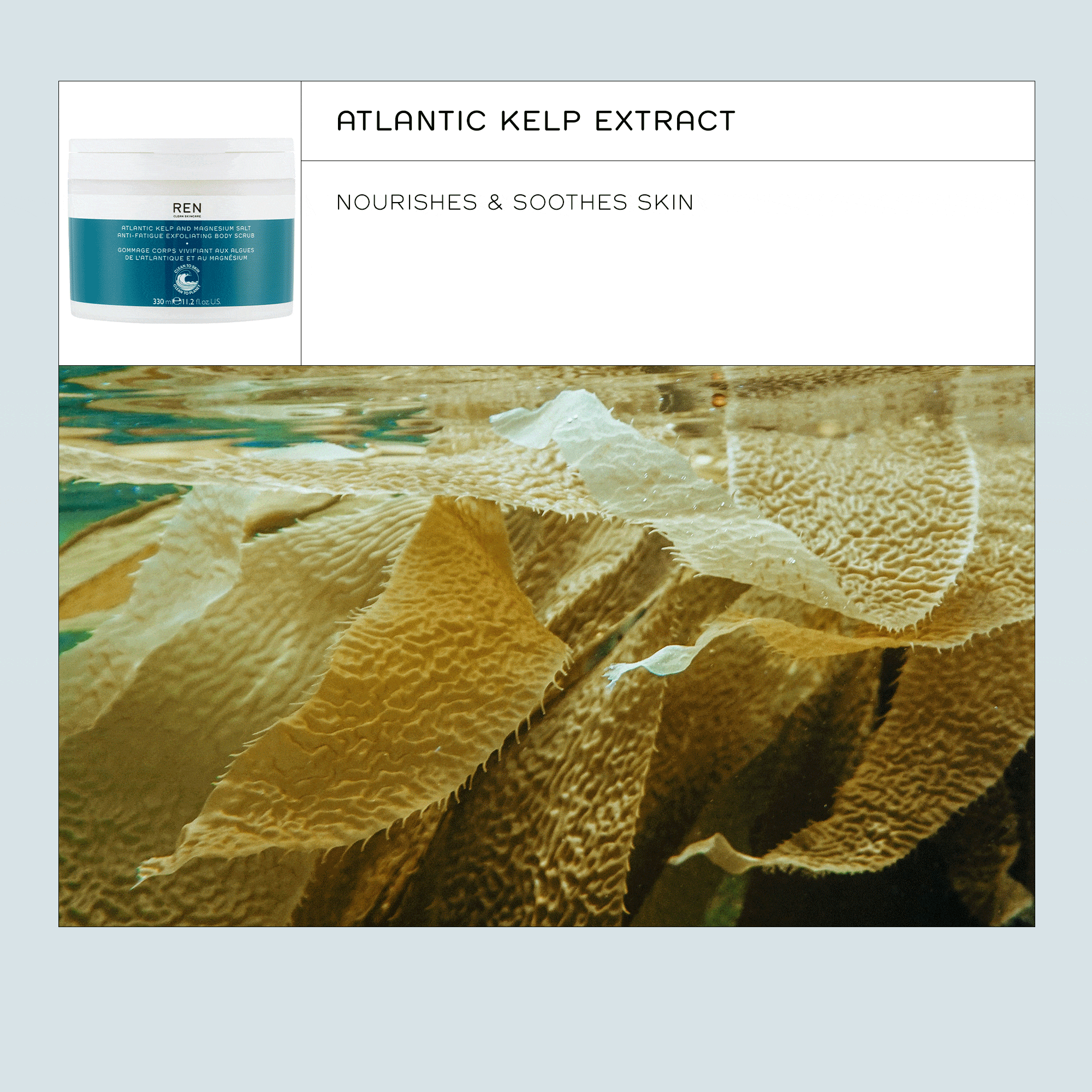 Atlantic Kelp and Magnesium Salt Anti-Fatigue Exfoliating Body Scrub